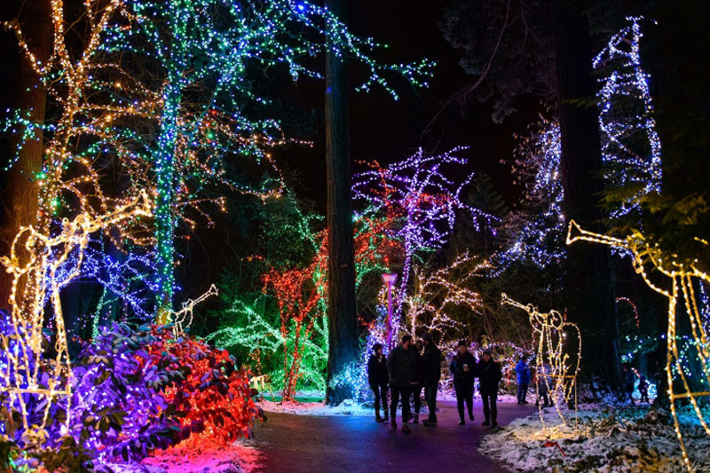 Christmas Festival of Lights at The Grotto