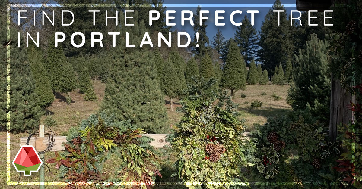 Find the Perfect Tree in Portland!